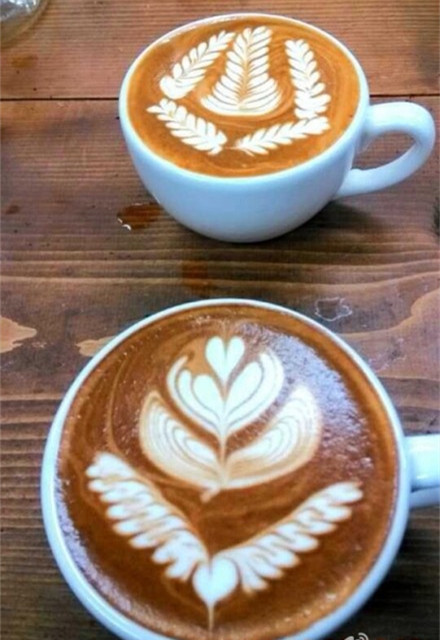 云南咖啡培训告诉你咖啡的来源及泡法
