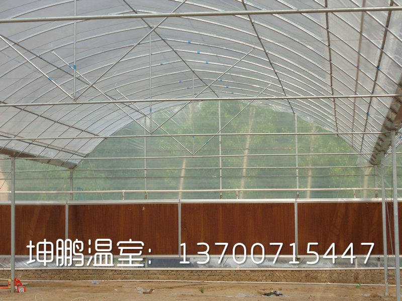安阳市坤鹏温室告诉你塑料大棚与玻璃大棚的大对抗