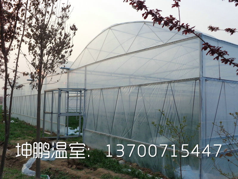 南阳玻璃温室大棚安装厂家教您怎样让温室大棚的蔬菜瓜果安全过冬