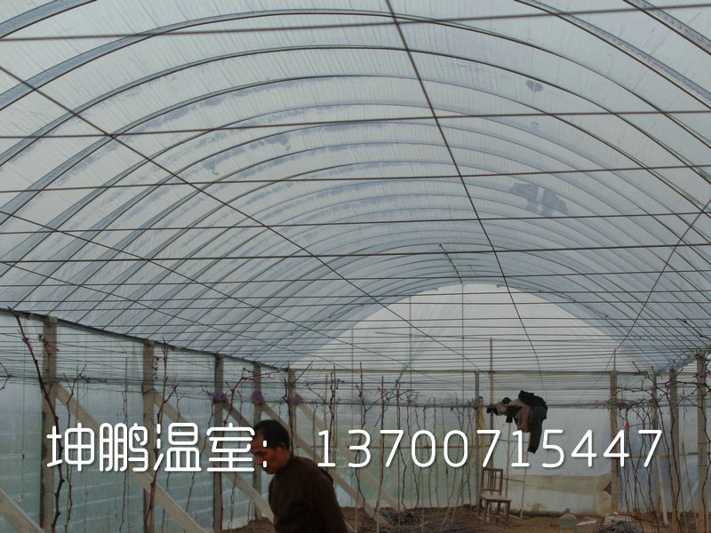 沧州温室大棚建造的特点和要求