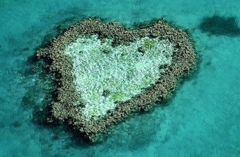 昆山市服务最优质的旅游公司去澳大利亚大堡礁旅游的注意事项