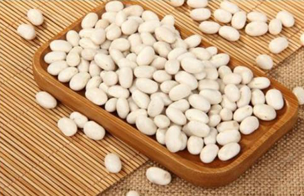 白芸豆原料