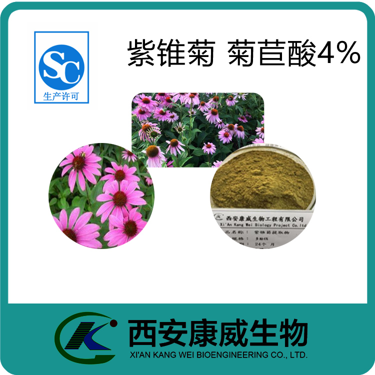 紫錐菊提取物