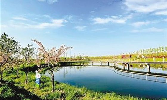 沣河水面防护、防渗工程