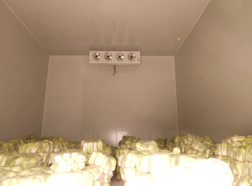 重慶蔬菜冷庫