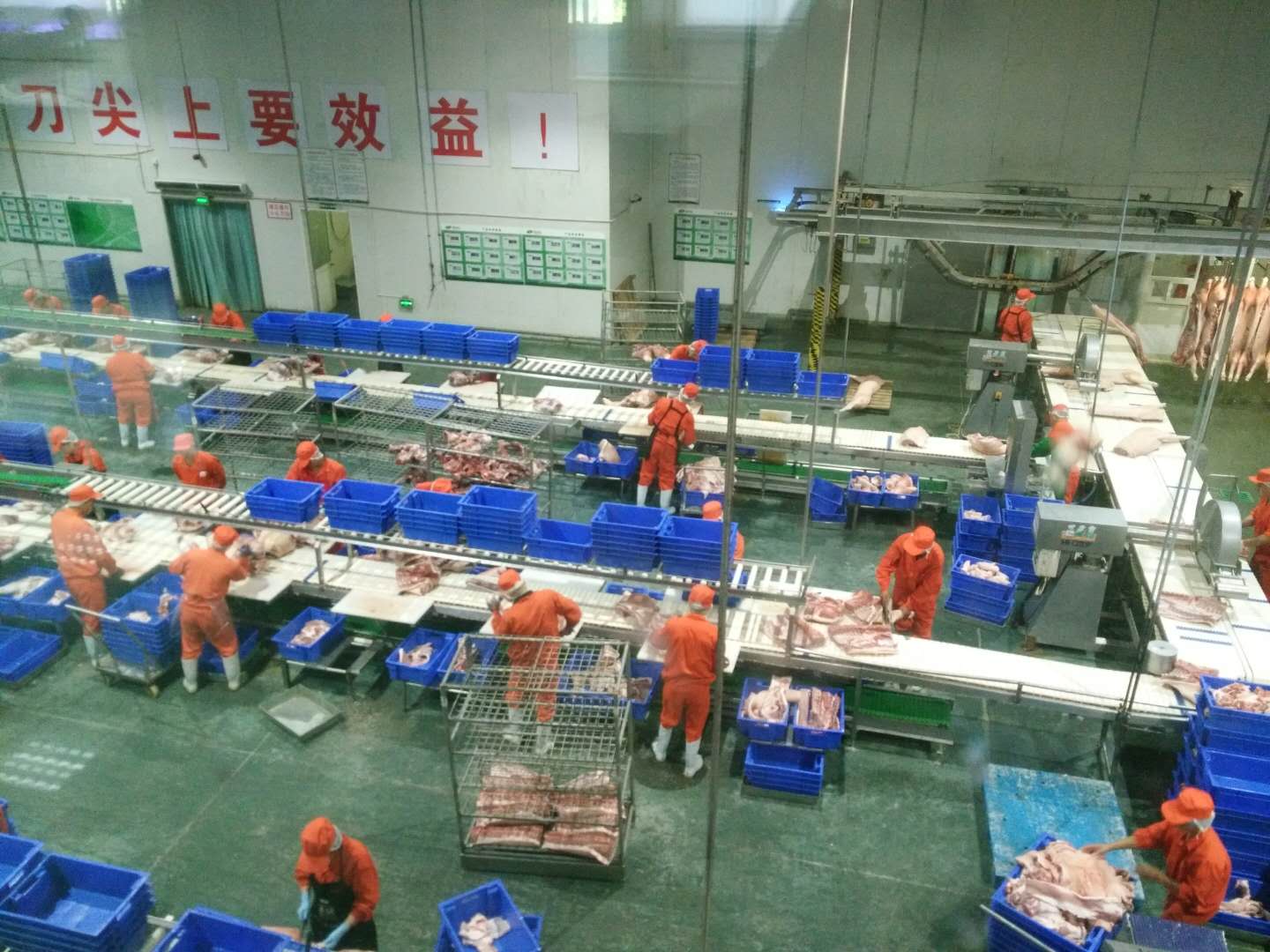 肉猪食品屠宰冷库工程项目
