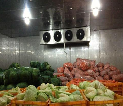 西安蔬菜保鮮冷庫