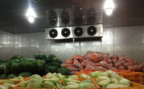 水果蔬菜保鲜冷库