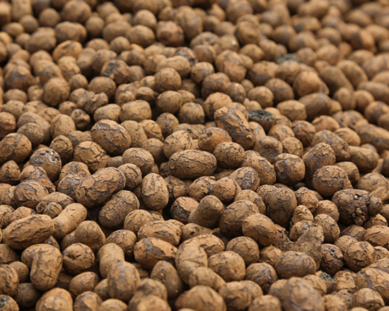 轻质陶粒可以用来作为耕种原料