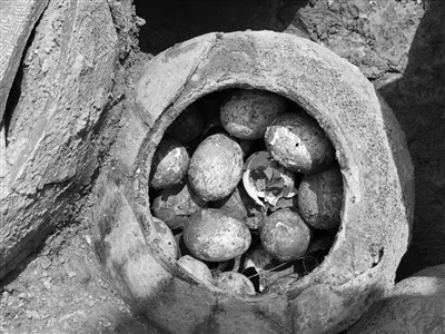 福州气泡膜厂家为您解析2500年前古墓挖出春秋时期鸡蛋 满满一罐完好无损