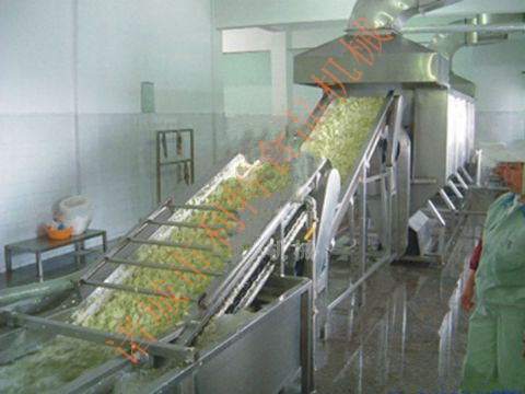 蔬菜漂烫冷却生产线 山东潍坊利特食品机械  蔬菜的清洁 漂烫 预冷设备行家
