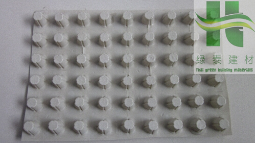 山东著名的塑料排水板生产厂家蓄排水板生产厂家首选泰安绿泰建材