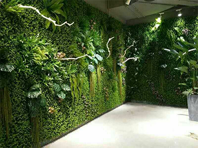 景观绿植墙