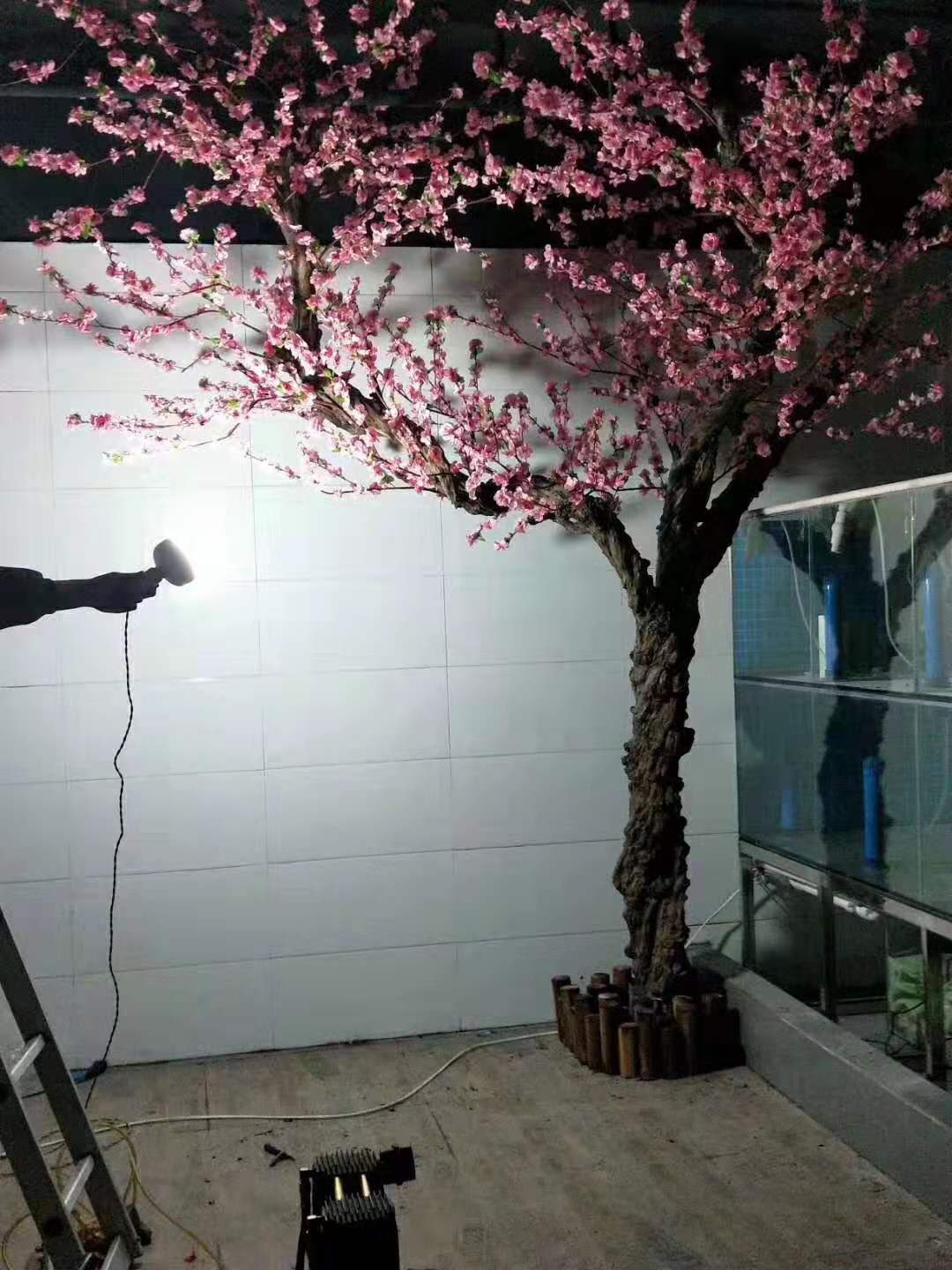 假樱花树