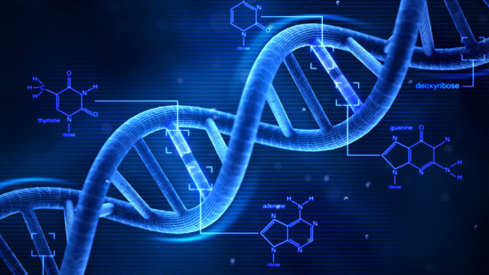 河池DNA亲子鉴定-权威正浩-帮你解答什么是DNA亲子鉴定