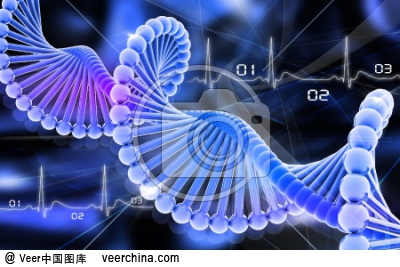 柳州哪里可以做亲子鉴定啊？价格是多少钱去广西DNA亲子鉴定中心正规国家机构