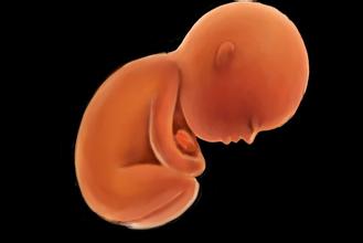 胎儿亲子鉴定去哪里可以做？在柳州市白沙路3号金瑞国际大厦11-3广西DNA亲子鉴定中心