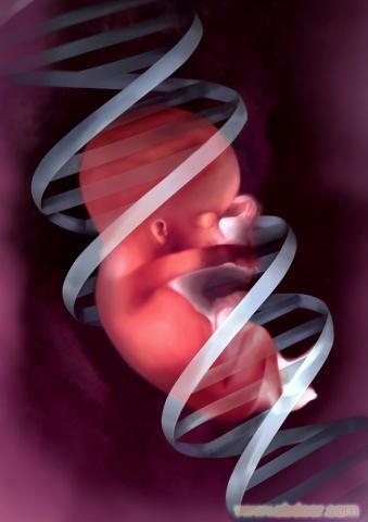 到哪里可以做胎儿无创亲子鉴定的？