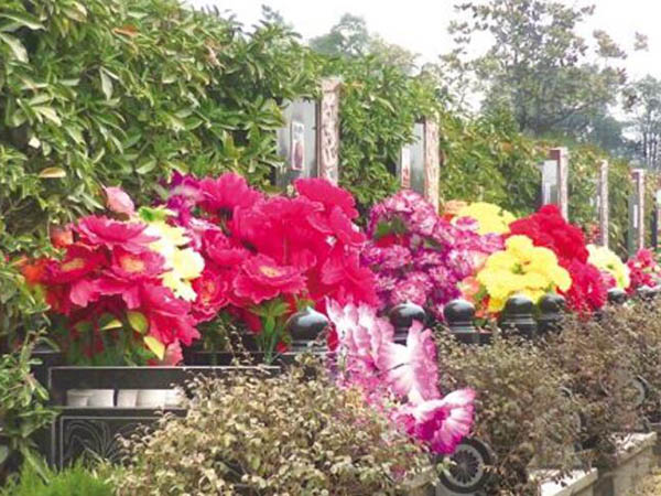 兰州美术培训画室分享公墓祭祀鲜花被盗到底是什么原因