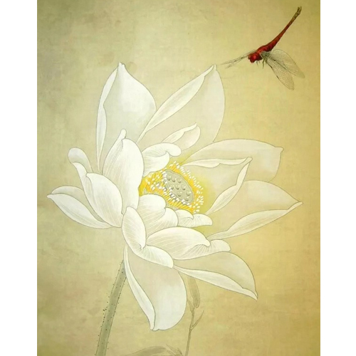 工笔-白色花朵