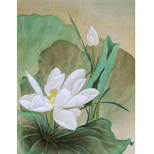 工笔-荷花