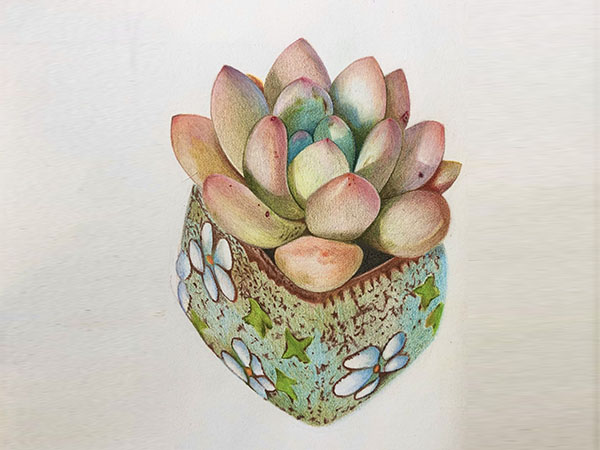 彩铅画用什么纸