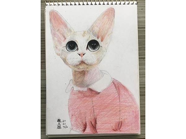 动物彩铅画