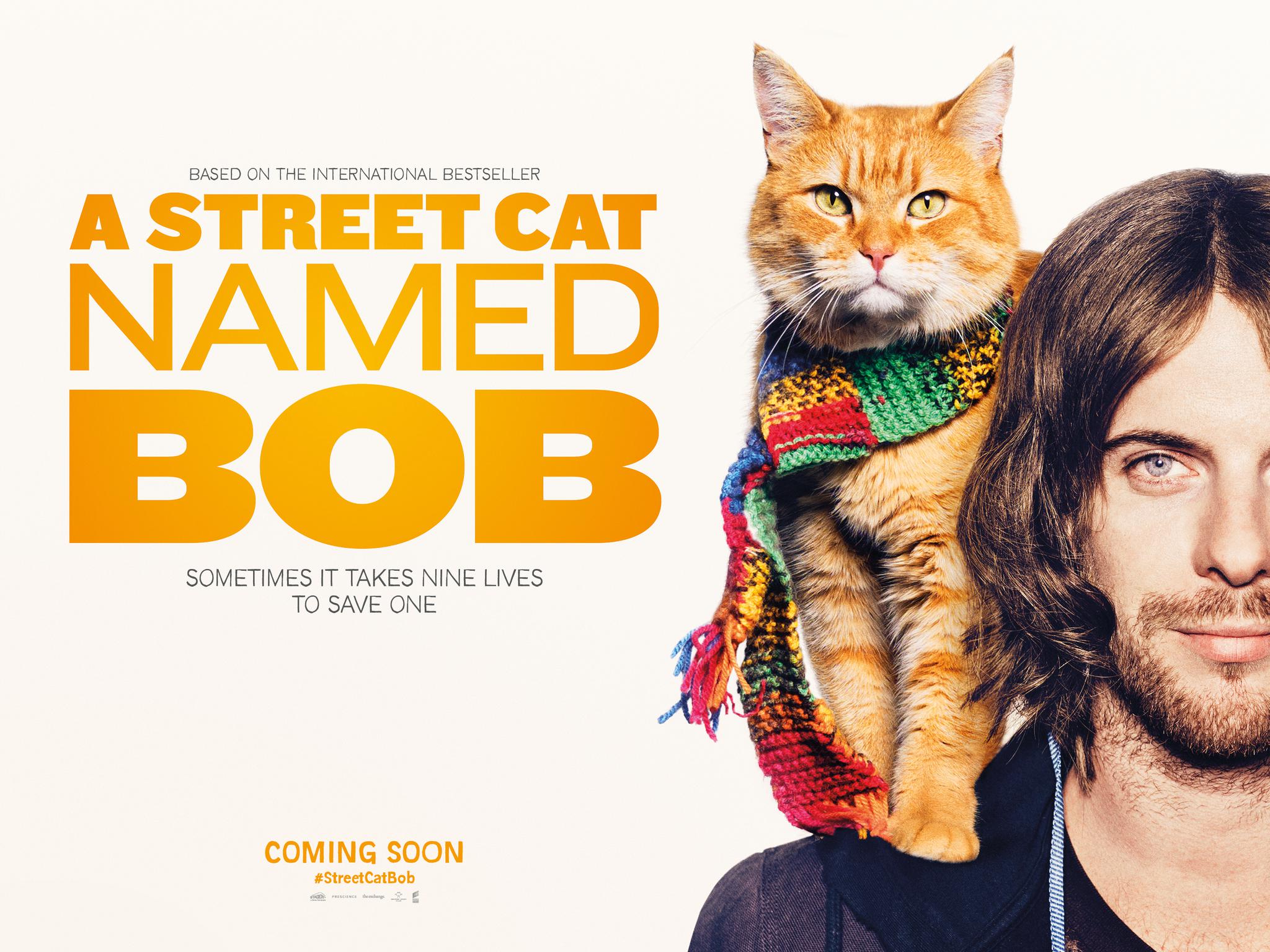 兰州麻辣烫加盟分享《流浪猫鲍勃》将拍续集，男主角回归出演