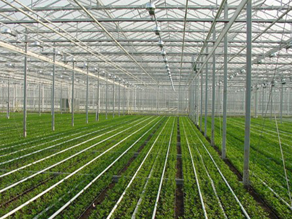 农业监控系统在农作温室大棚的应用与设计
