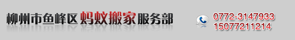 柳州市鱼峰区蚂蚁搬家服务部_Logo