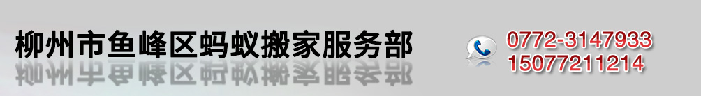 柳州市鱼峰区蚂蚁搬家服务部_Logo