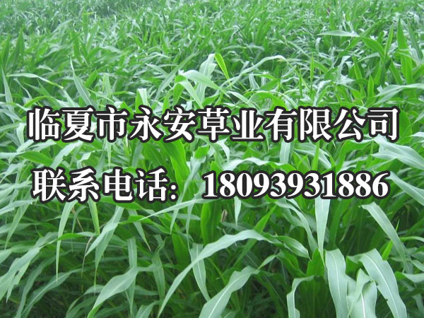 调温调湿试验箱