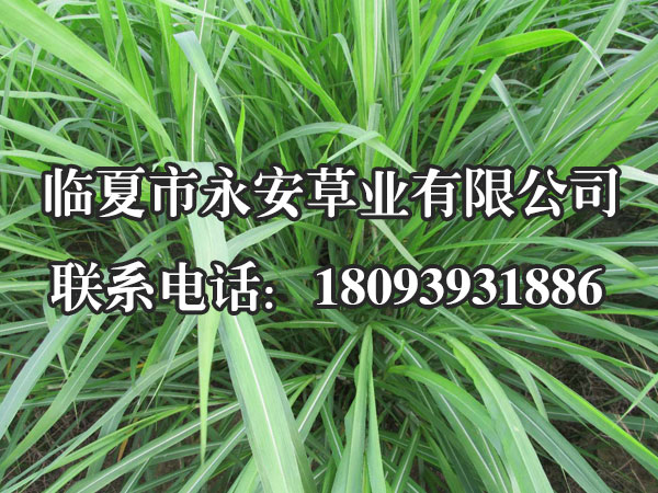 调温调湿试验箱