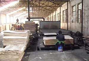 浅谈目前国内木材干燥设备行业的转型与市场定位