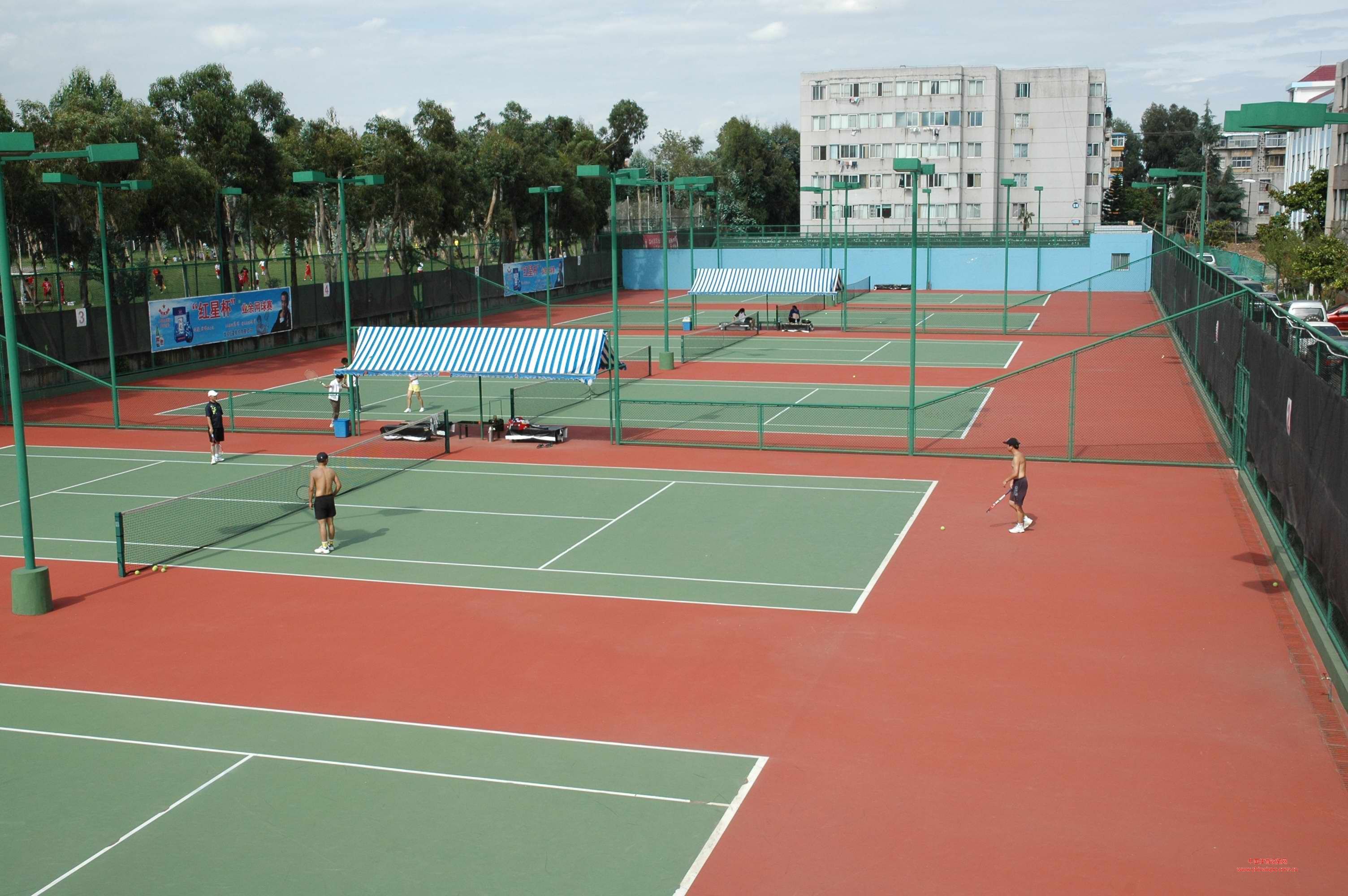 小学体育表格式教案_我们的民族小学表格式教案_小学小学二年级体育课表格式教案