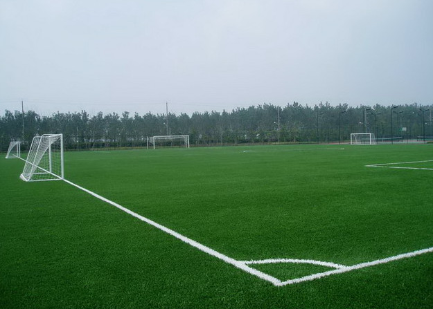 南京足球场人造草坪铺装，足球场人造草坪的优点-名第体育