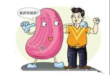中医认为脾胃位于中焦"脾脏属中央土,旺于四季,意思是脾在五行中
