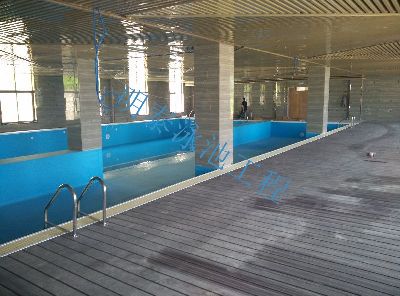 洋县农业生态园泳池（体育总局推广型）