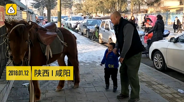上海毛巾商城被酷炫了--骑马接儿子放学--惊呆吃瓜群众