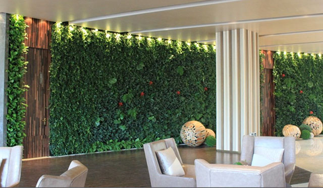 深圳室外植物墙制作告诉你垂直绿化生态植物墙的十大特点