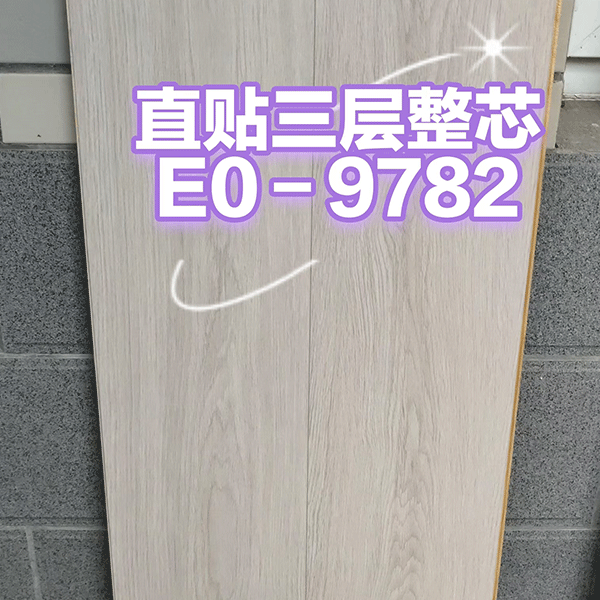 E0-9782