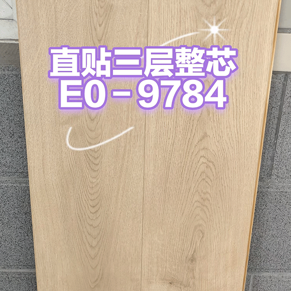 E0-9784