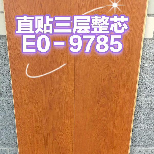 E0-9785