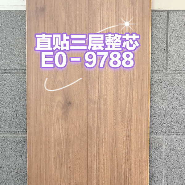 E0-9788