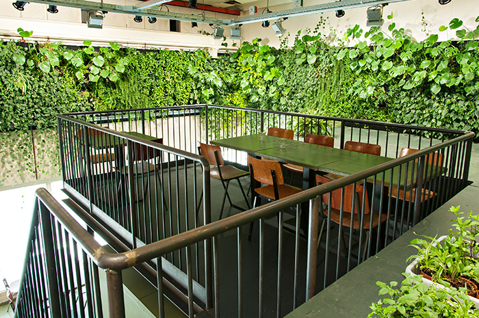 西安垂直绿化公司-垂直绿化墙-墙体垂直绿化