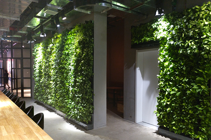 凤城八路MOJO咖啡厅室内植物墙