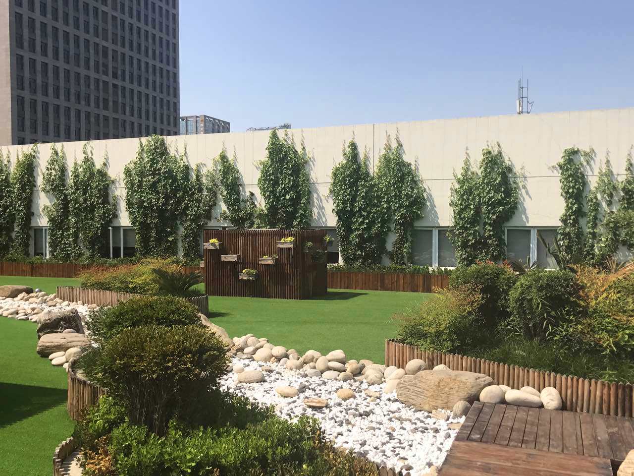 室內植物墻選擇什么植物比較好？