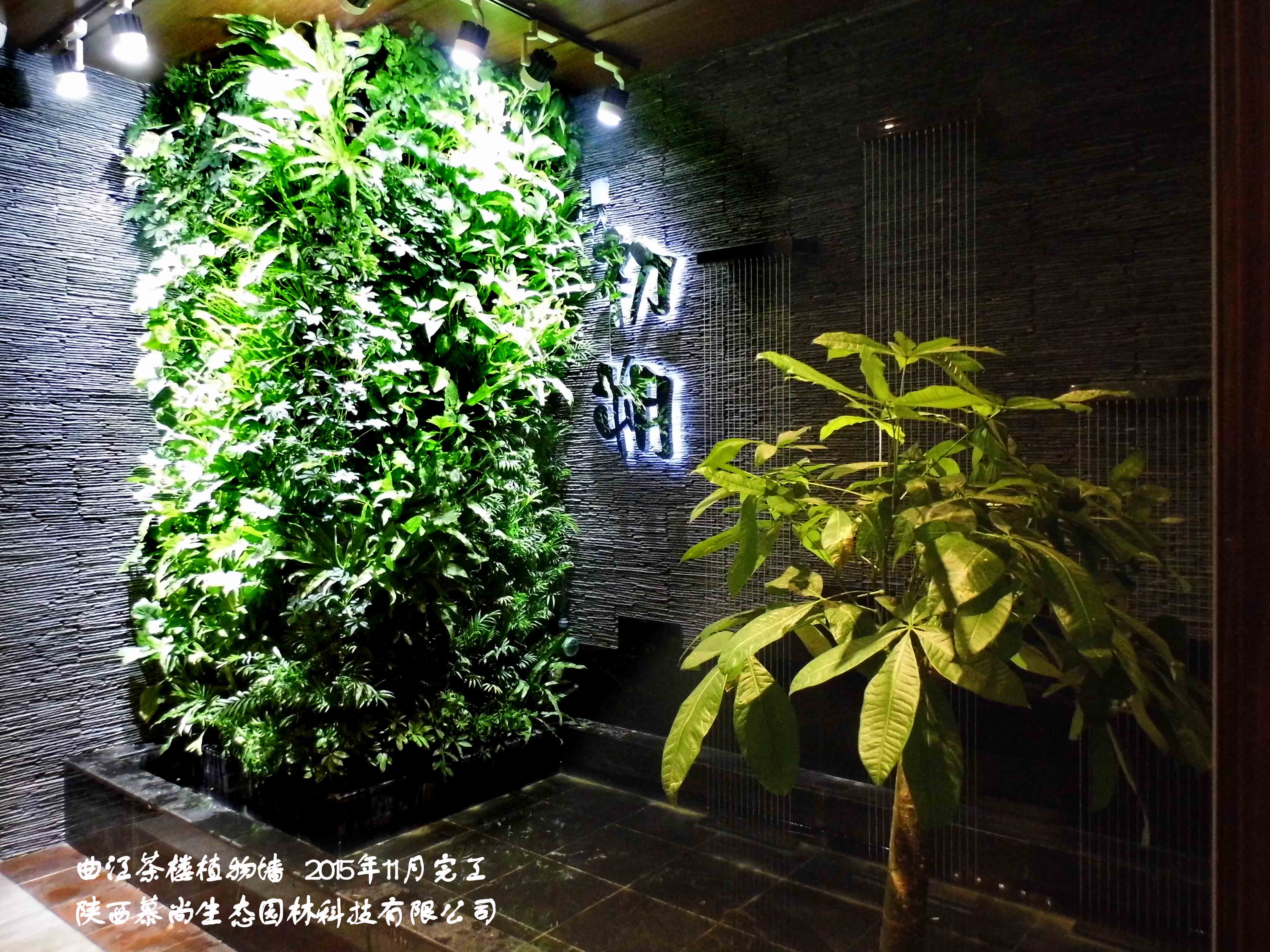 办公室植物墙好处，通风的重要性分析