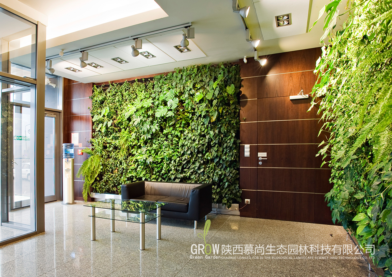 會客室植物墻