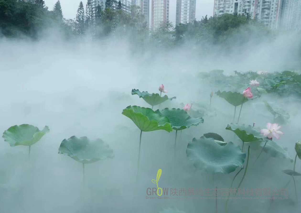 霧森景觀案例展示